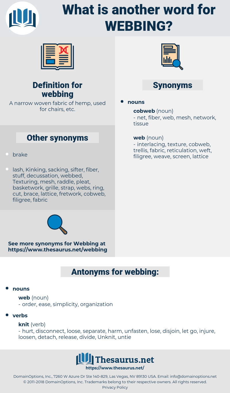 webbing, synonym webbing, another word for webbing, words like webbing, thesaurus webbing