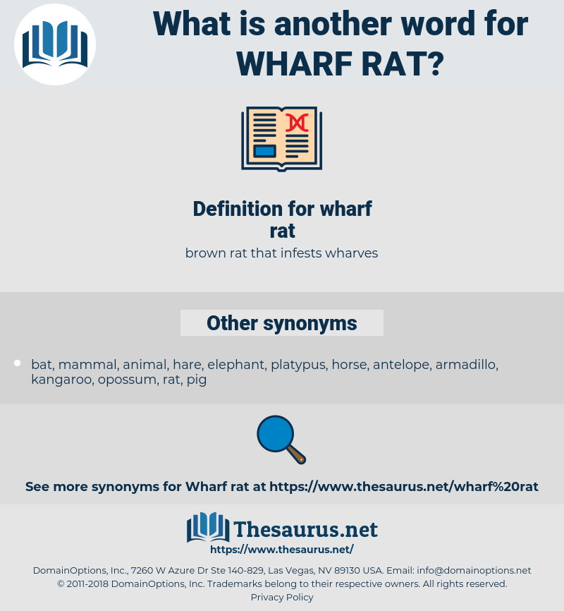 wharf rat, synonym wharf rat, another word for wharf rat, words like wharf rat, thesaurus wharf rat