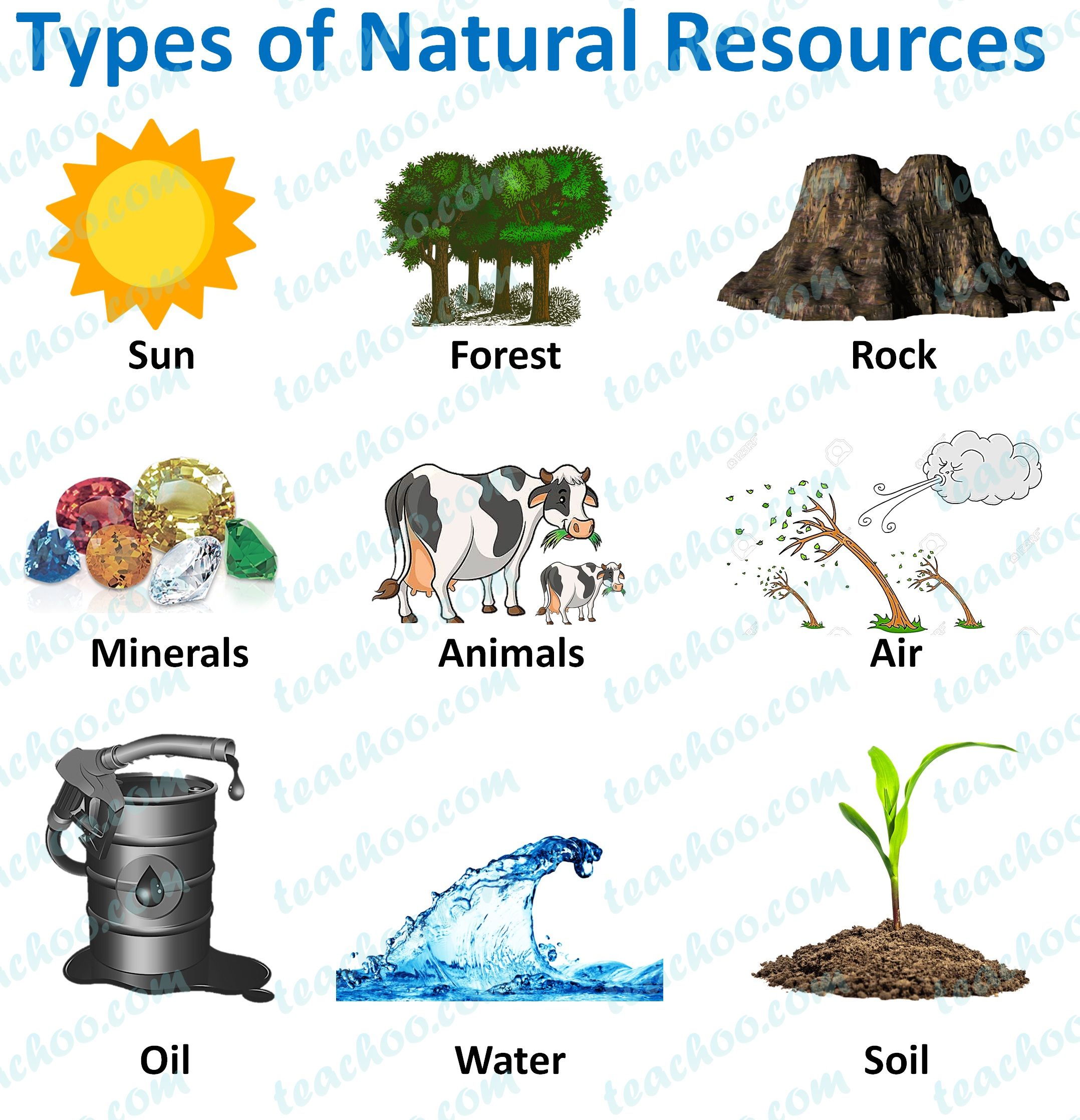 Natural Resources For First Grade