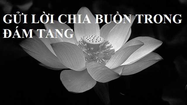 Các Câu Chia Buồn Đám Ma - Những Lời Chia Sẻ Thành Kính và Sâu Sắc