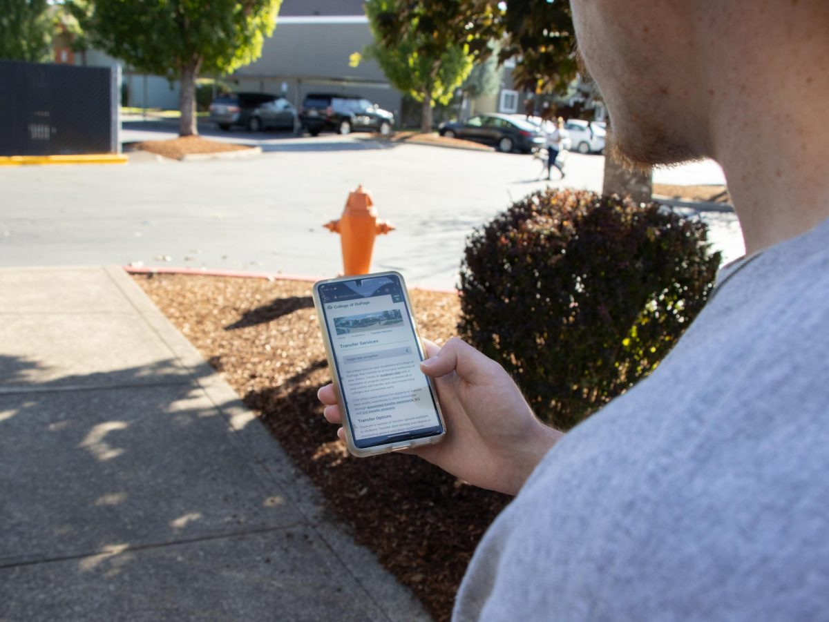 Senior new media communications major Ben Erickson looks at the transfer services site of his former university, College of DuPage in Corvallis on Aug. 8. College of DuPage is one of the three universities Erickson has attended, giving him personal experience with transferring credits.