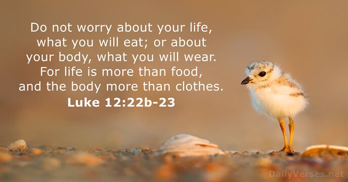 Luke 12:22b-23