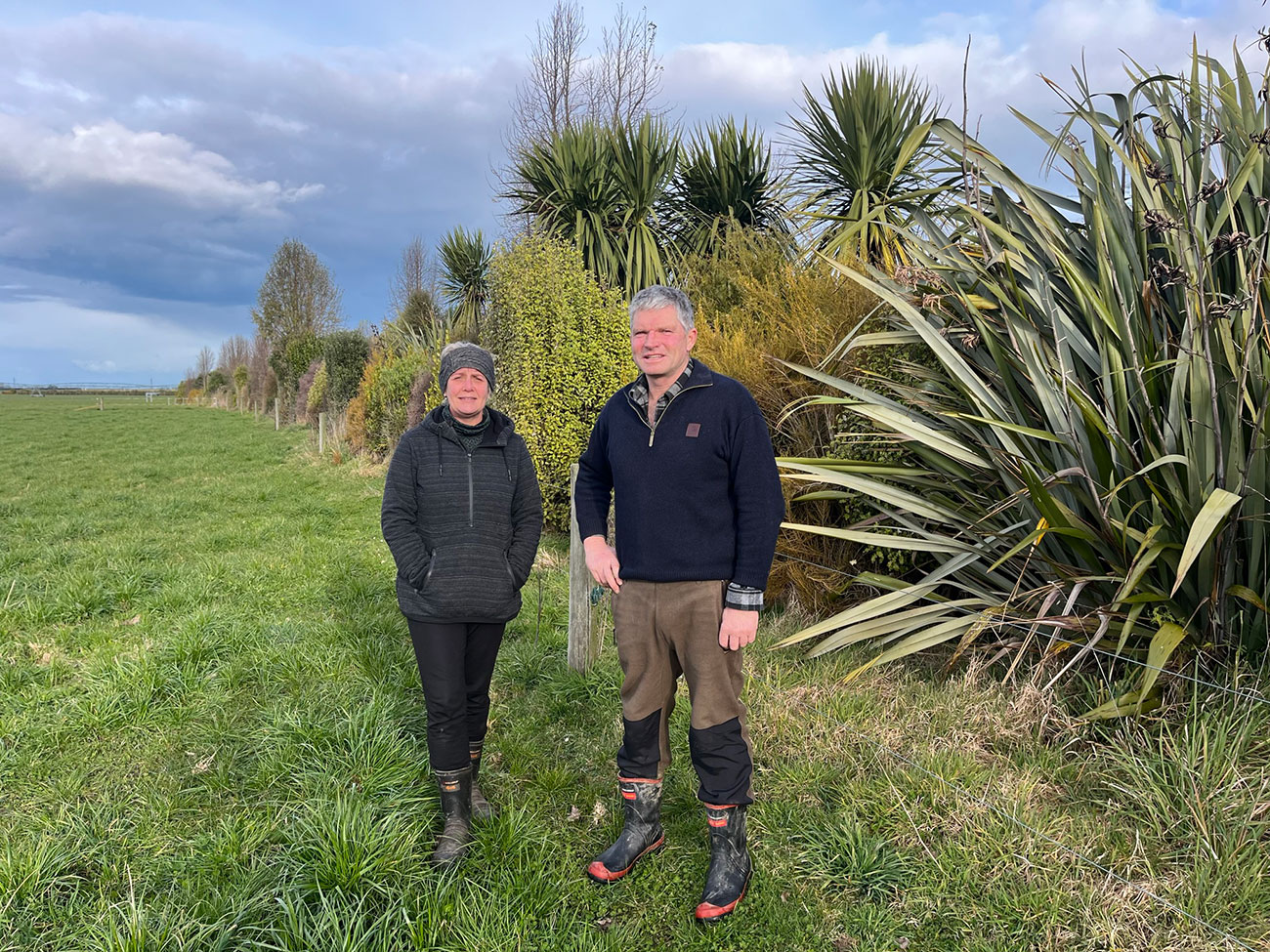 Extensive planting sees native bird numbers growing on Canterbury dairy ...