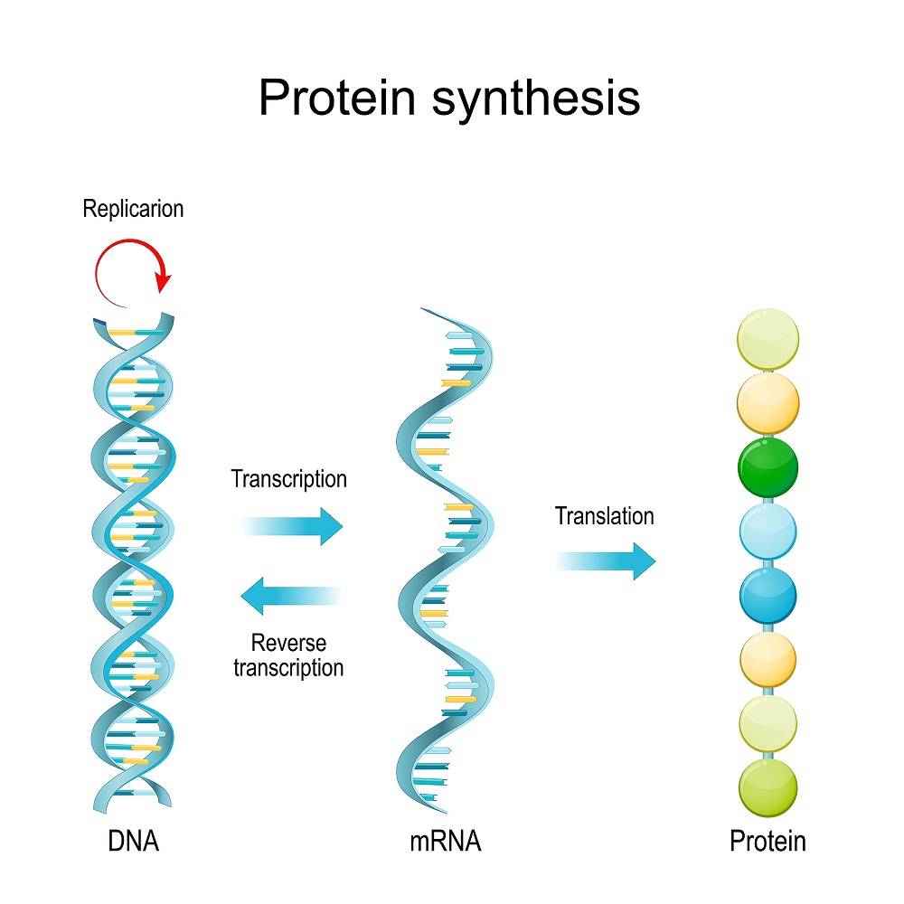 Mapping of RNA Editing Sites Across the Human Genome Opens the Door to ...