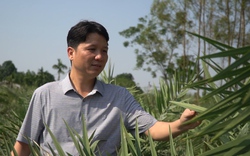 Thu hàng chục tỷ đồng nhờ sản xuất nông nghiệp gắn du lịch trải nghiệm, du lịch sinh thái