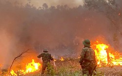 Hàng trăm người chữa cháy rừng trong hai ngày Tết ở Quảng Ninh