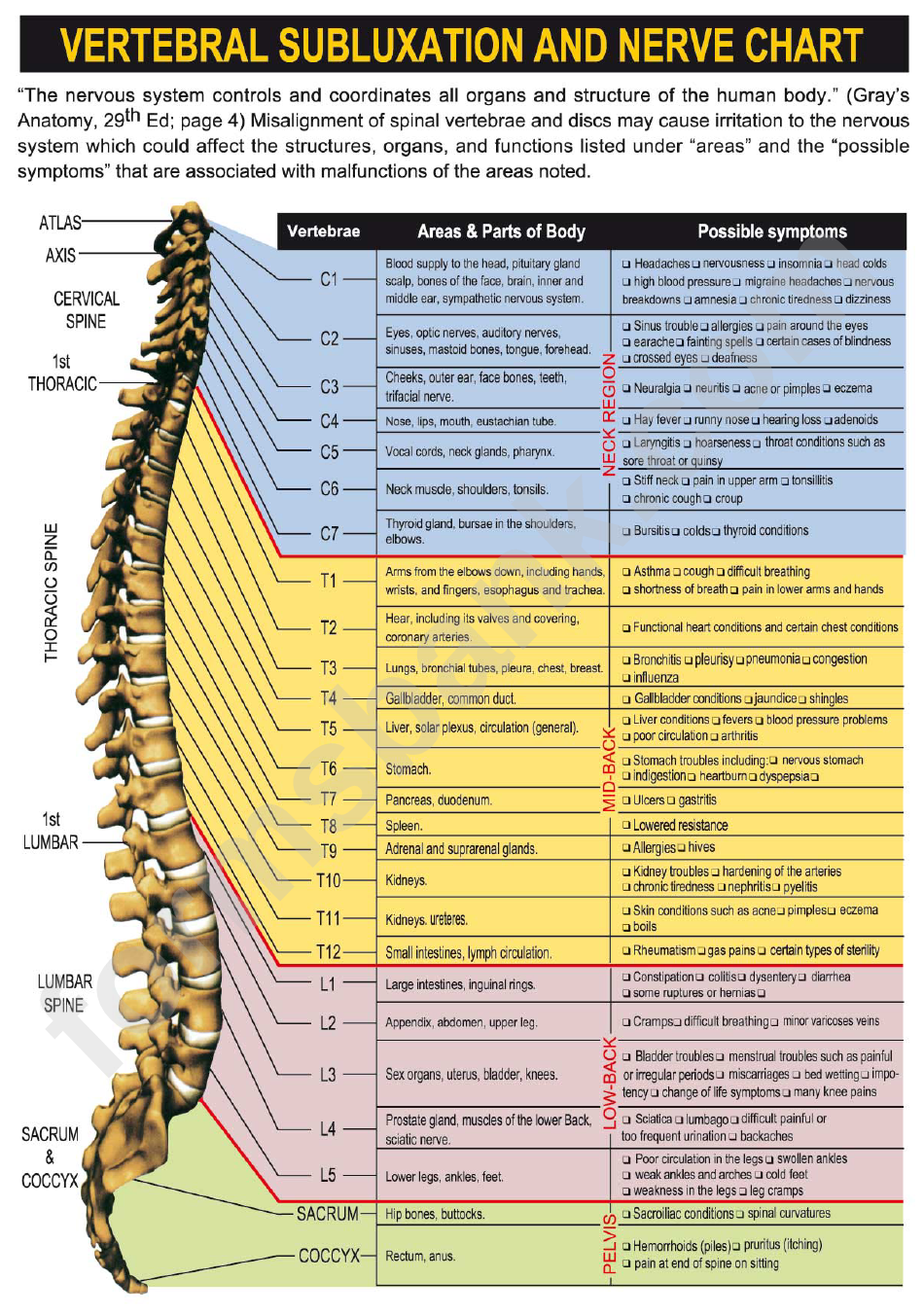 Printable Spinal Nerve Chart