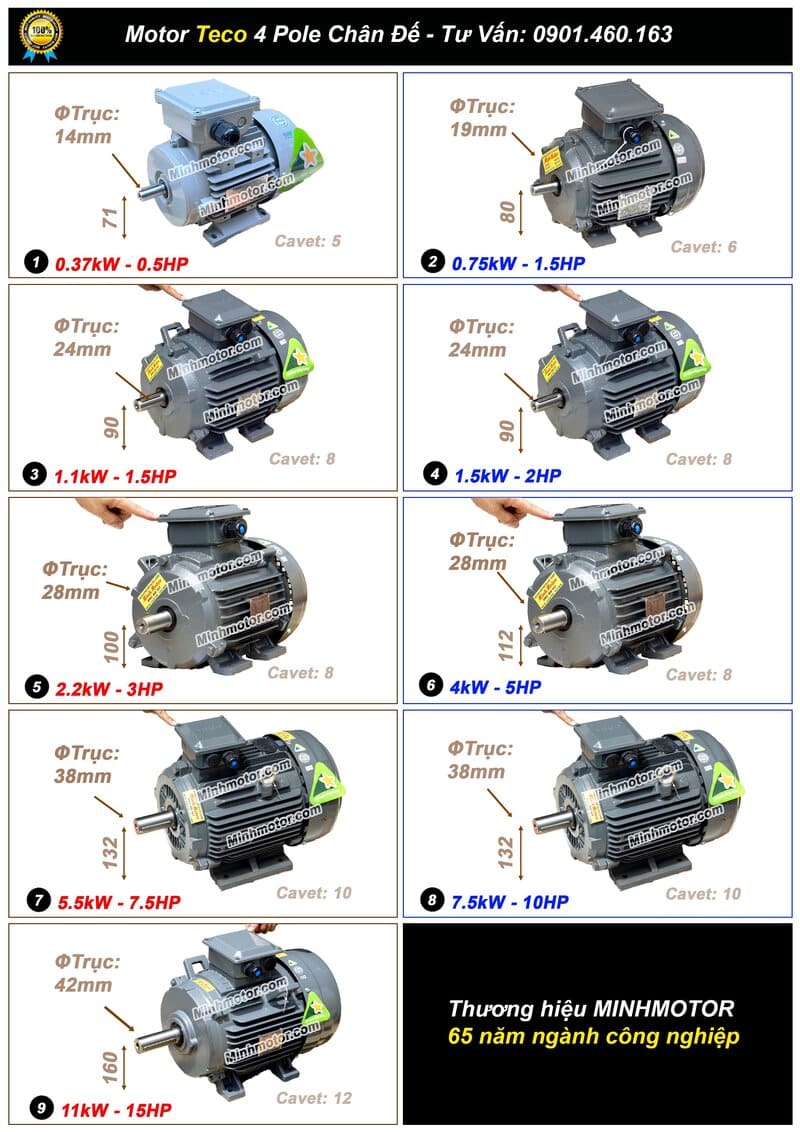 Tổng hợp các kích thước thông dụng của motor Teco chân đế