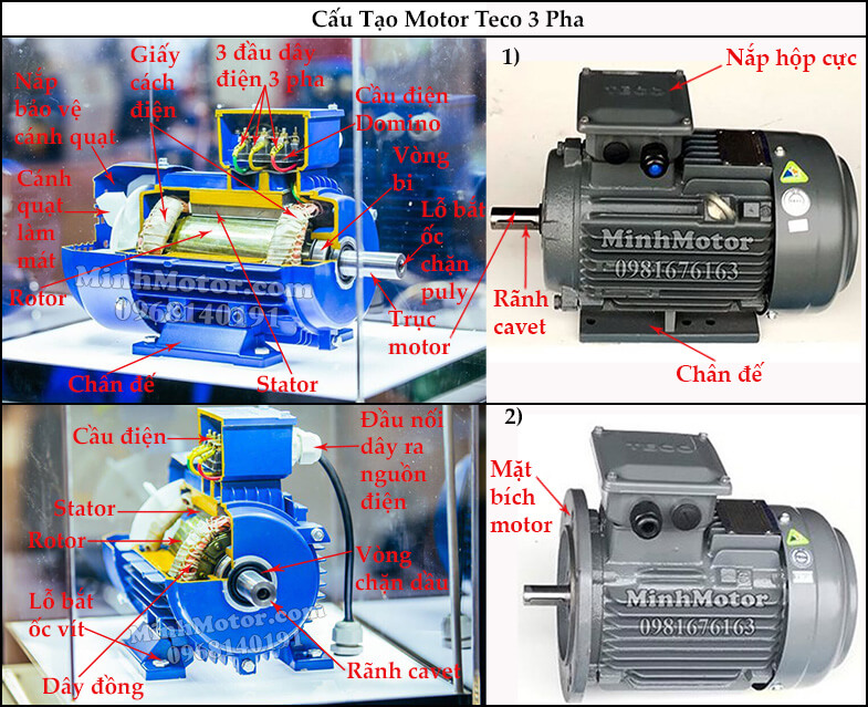 Cấu tạo motor Teco 3 Pha