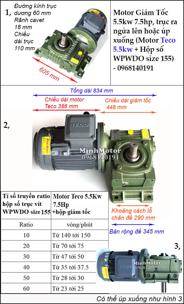 Lắp đặt động cơ Teco 5.5Kw 7.5Hp giảm tốc trục ngửa úp size 155