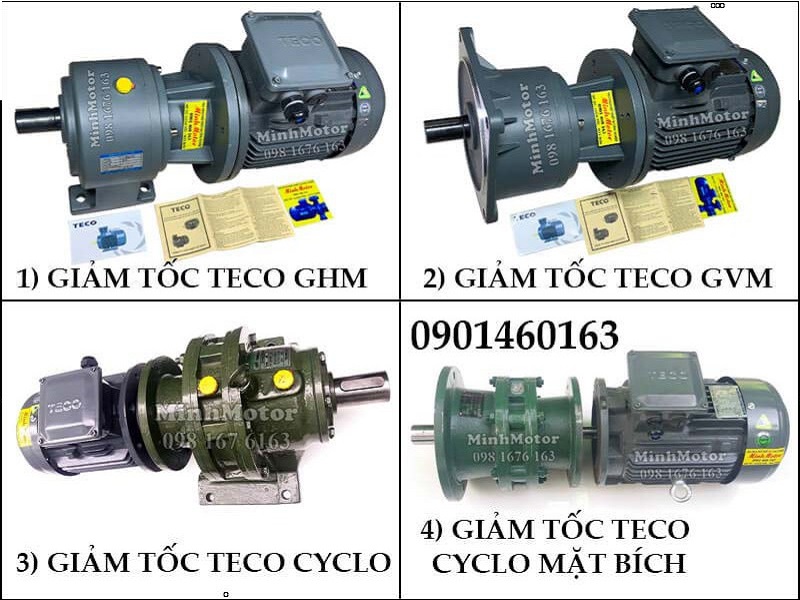 Motor Teco trục thẳng