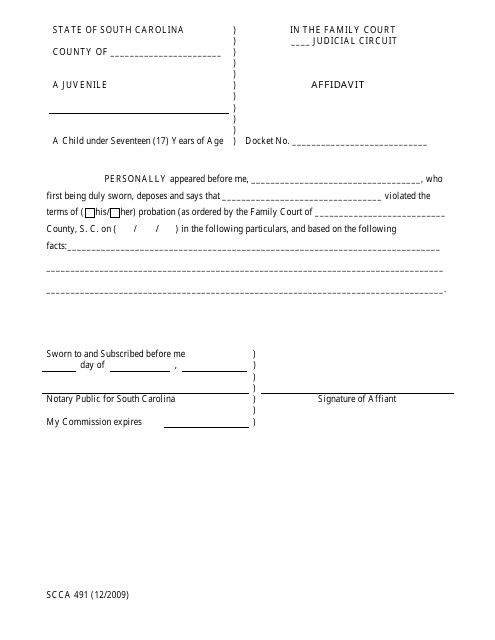 Form SCCA491 Affidavit - South Carolina