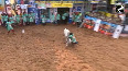 The three-day popular 'Jallikattu' started with much fanfare in Madurai, Tamil Nadu.