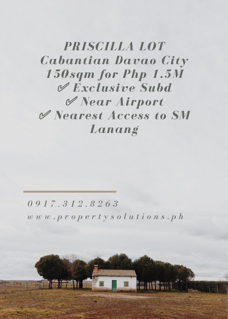 PRISCILLA Estates Subdivision Lot For Sale Cabantian Davao ... - Davao ...