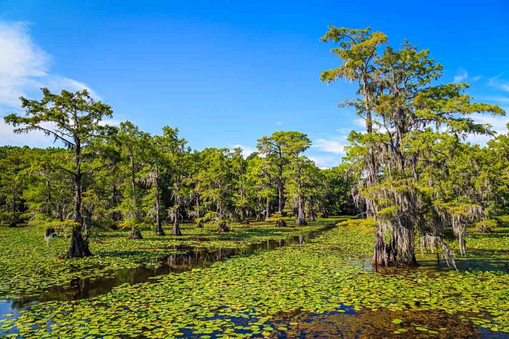 11 Unbelievably Beautiful Lakes In The US That Feel Like Paradise