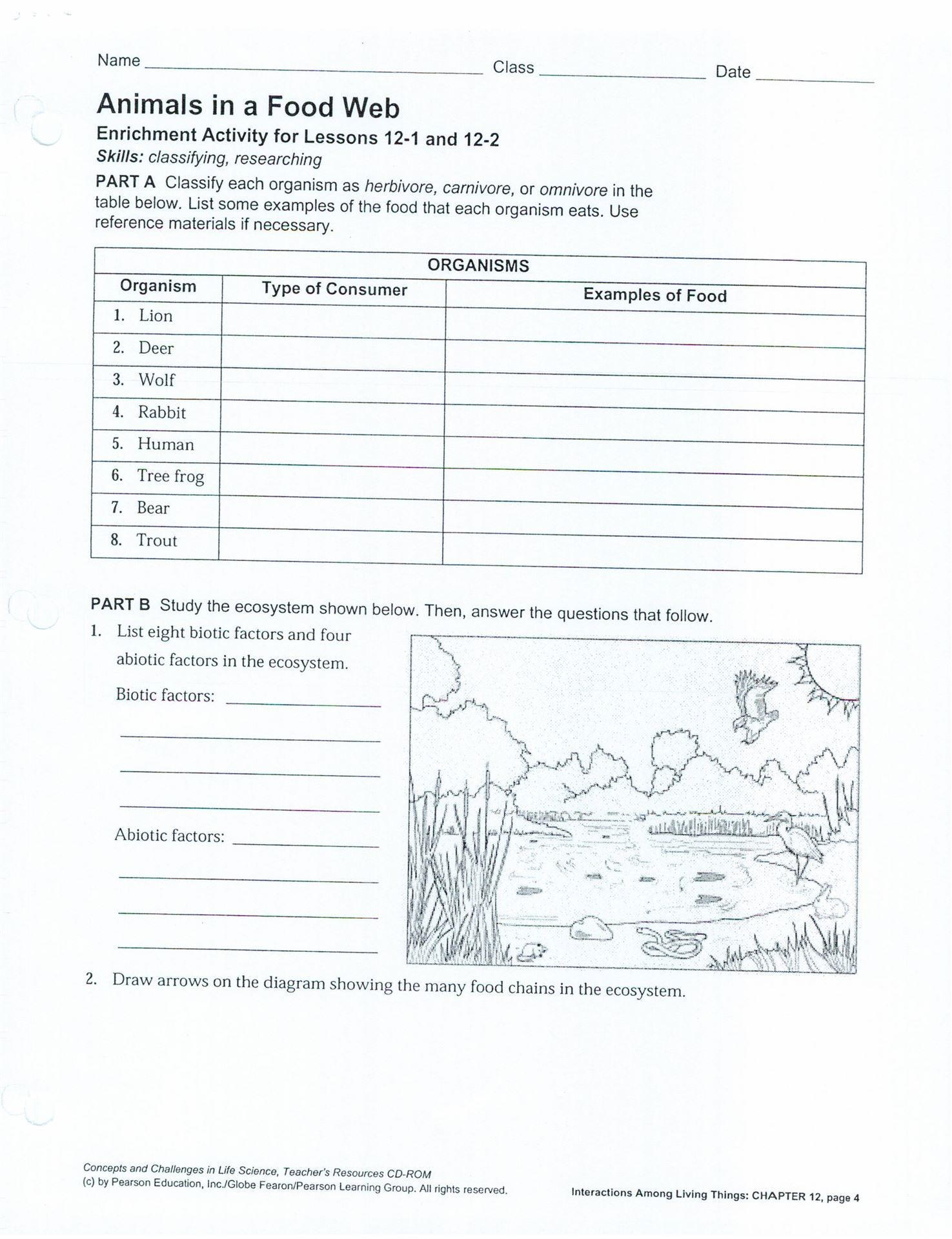 Energy Transfer Food Chains Fo Food Webs And Food Chains Worksheet