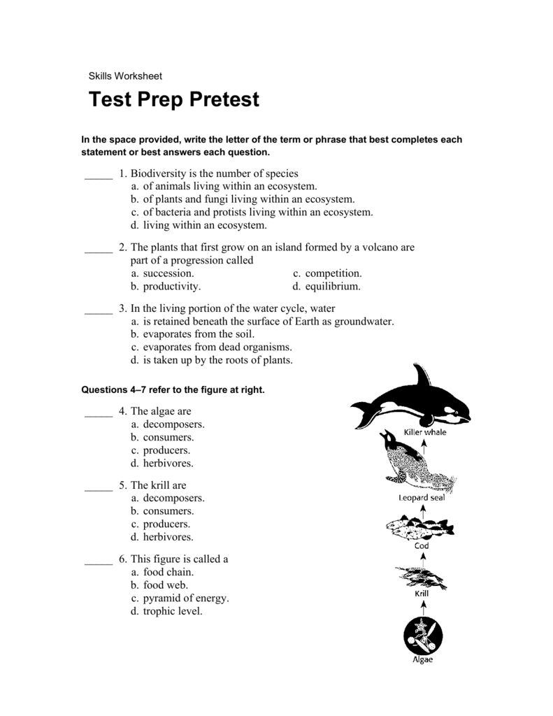 Skills Worksheet