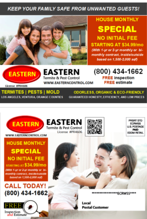 Postcard Design by citygirl17 for Eastern Termite & Pest Control | Design #7838182