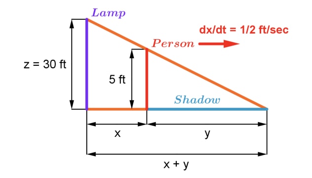 Graph 4: related rates person walking away
