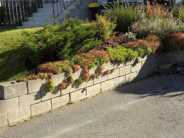 cinder-block-garden-ideas-DIY-cinder-block-retaining-wall 