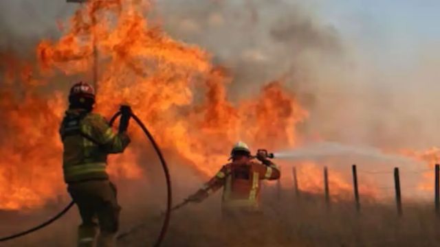 Drought-Hit Florida Firefighters Tackle Multiple Blazes, How Police Officers Will Manage (1)