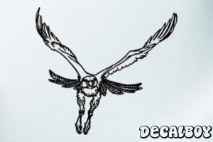 Rough Legged Hawk Flight Decal