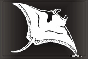 Manta Ray Window Decal