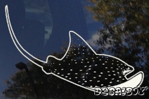 Stingray Fish Window Decal