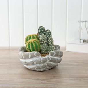 Botanica Cactus With Cement Pot