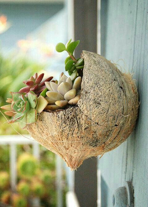 ideas to reuse coconut shells 3