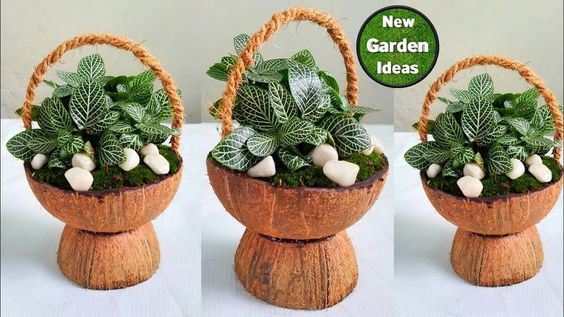 ideas to reuse coconut shells 4