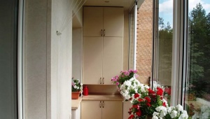  Armoire sur le balcon