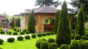  Landscape design: the subtleties of landscaping site