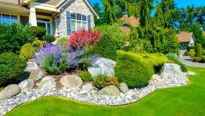  Secrets of landscape design