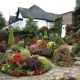  Landscape design: decorating the site with flowers