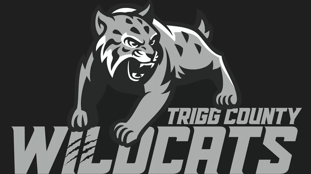 trigg-graphic