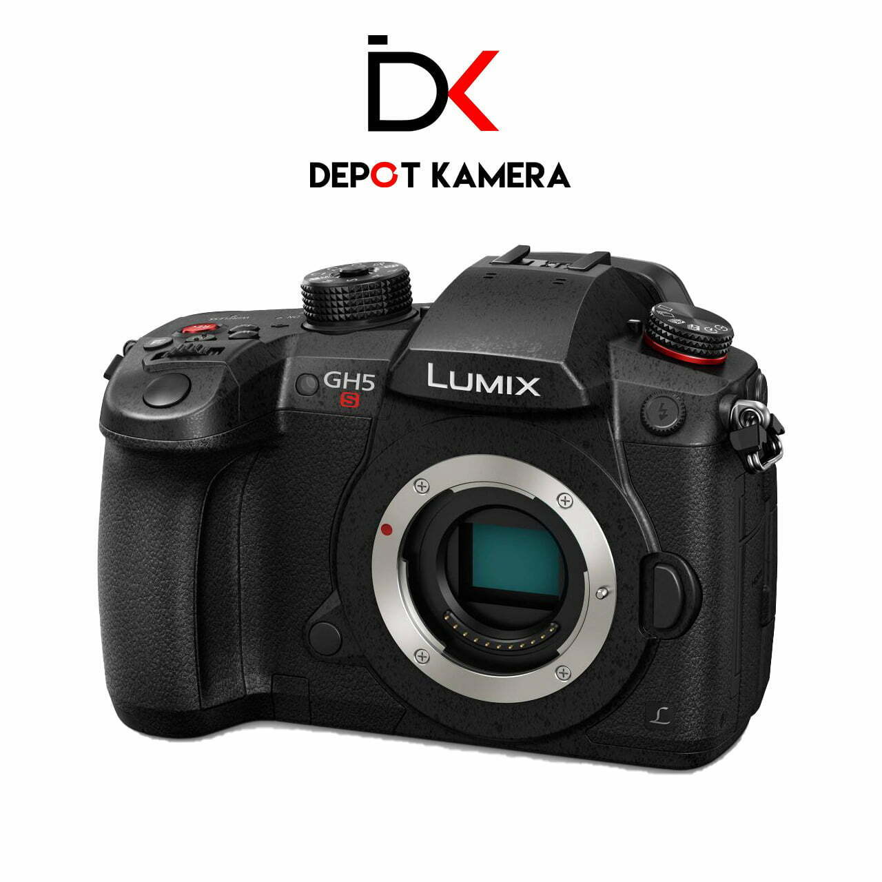 Panasonic Lumix DC-GH5S Body Only+logo