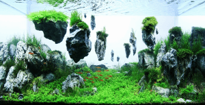 岩が浮いている？！水草レイアウト会の世界の頂点が別世界すぎる - The International Aquatic Plants Layout Contest 2012 -