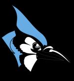 Blue Jay svg