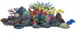 Coral Reef clipart