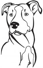 Pit Bull clipart