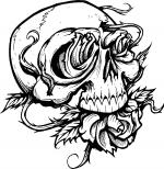 Skull coloring