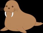 Walrus clipart