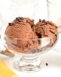 Healthy Double Chocolate Protein Frozen Yogurt (sugar free, low fat, high protein, high fiber, gluten free) - Healthy Dessert Recipes at Desserts with Benefits