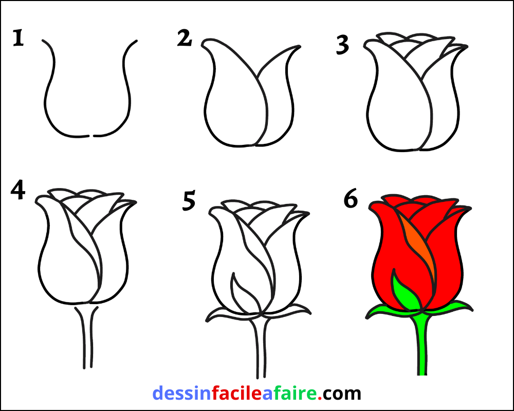 dessin rose