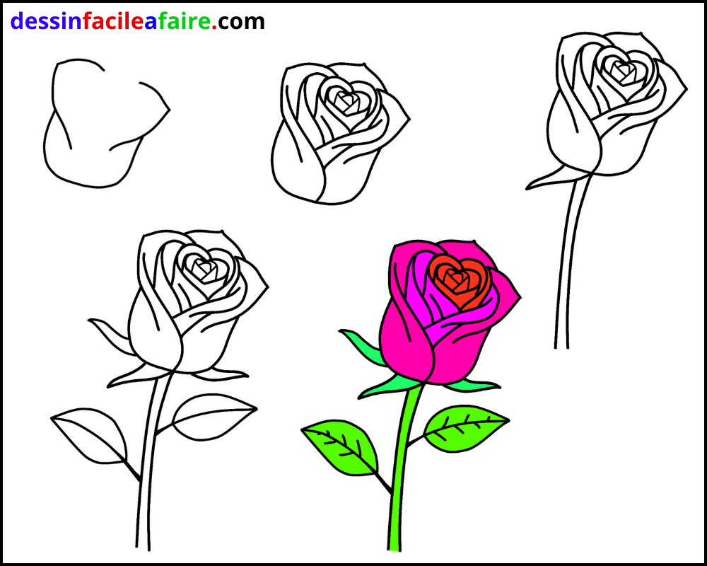 dessiner une rose