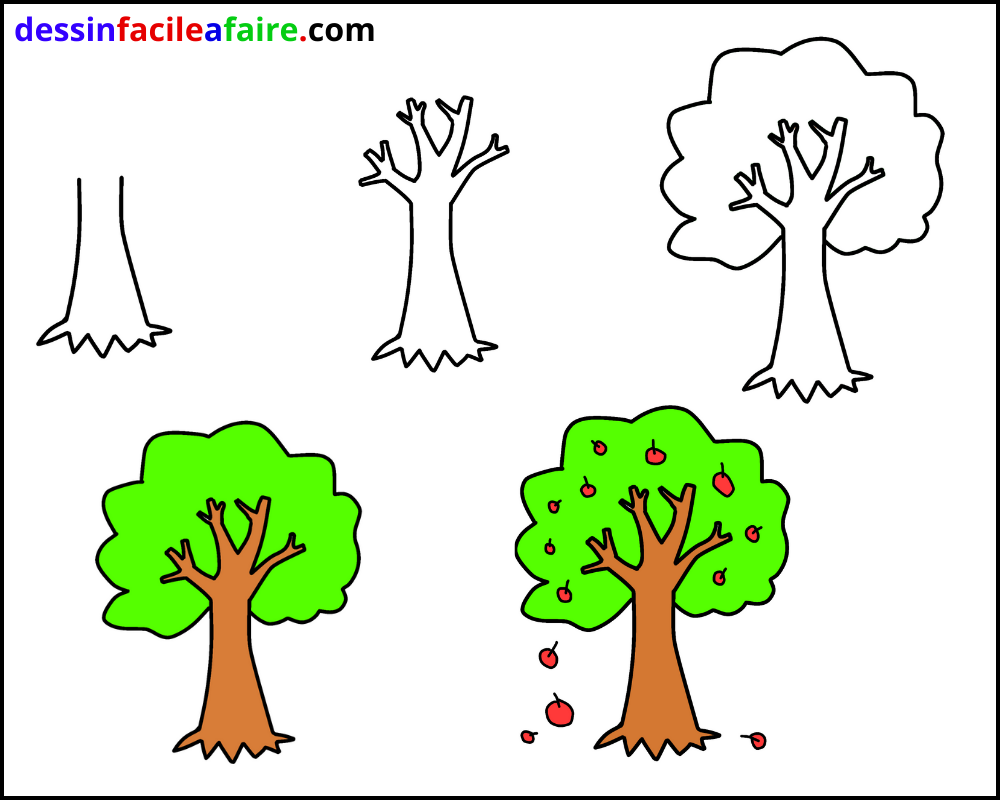 comment dessiner un arbre