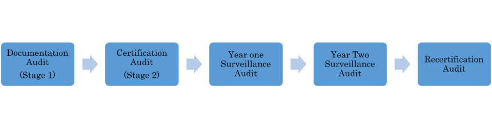 Surveillance Audit Process - CHG IT CONSULTANCY PVT LTD