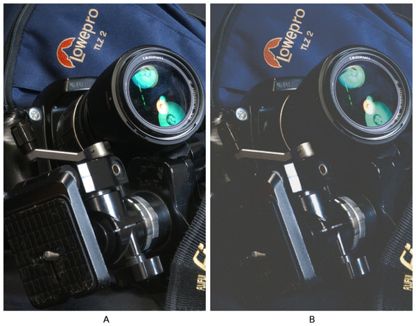 An image (A) and its gamut clipped version (B).