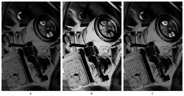 Difference maps of the two images shown in Fig. 5 for ΔEab (A), ΔE00 (B), and the Euclidean distance in the IPT colour space (C).